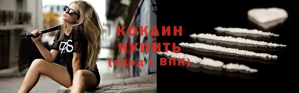 шишки Абинск
