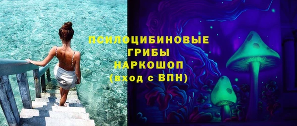 шишки Абинск