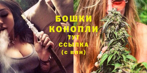 шишки Абинск