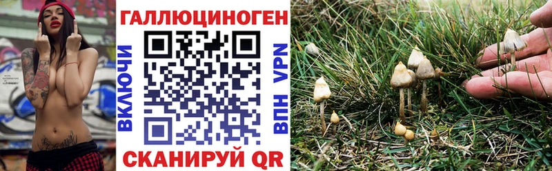 Галлюциногенные грибы Psilocybine cubensis  магазин    Тырныауз 