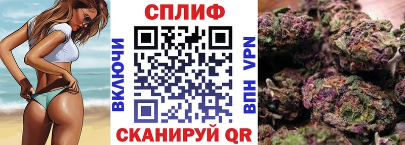 Каннабис индика Тырныауз